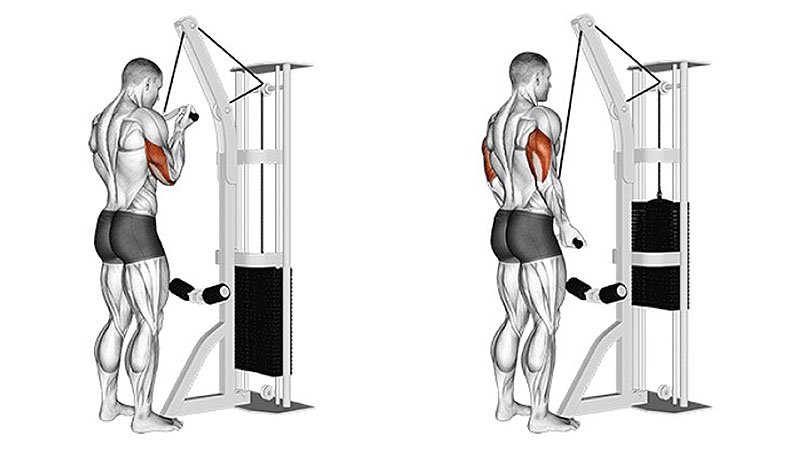 How to Do Tricep Pushdown